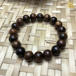 Bách xanh mộc châu 12 li