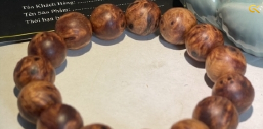 Nu huyết Long 16 li