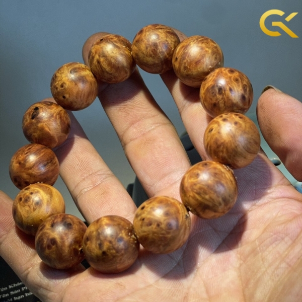 Nu huyết Long 18 li