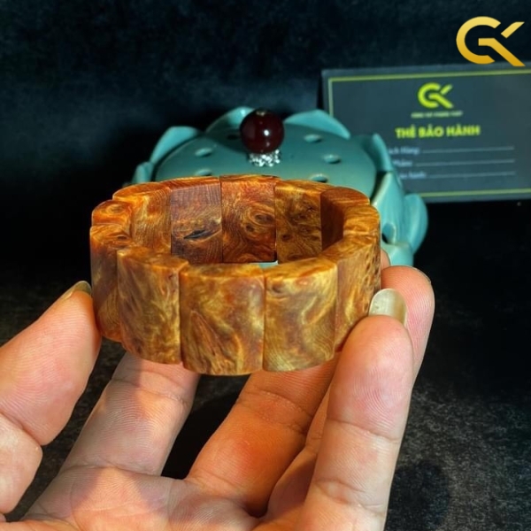 Nu huyết Long bản dẹt 20 li
