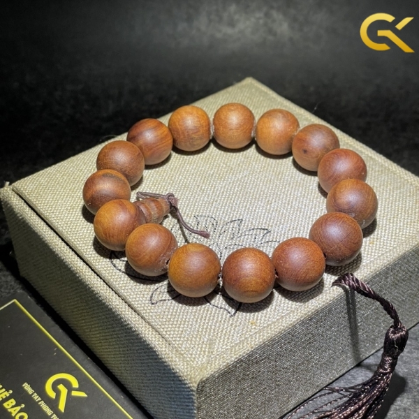 Hoàng đàn tuyết 14 li