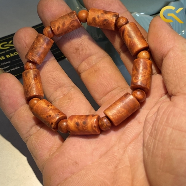 Nu huyết Long đốt trúc 10 li