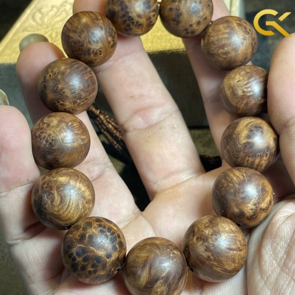 Nu Ngọc am 18 li