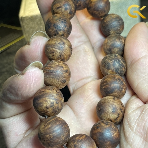 Nu Ngọc am 14 li