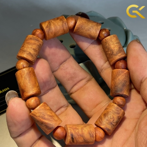 Nu huyết Long đốt trúc 12 li