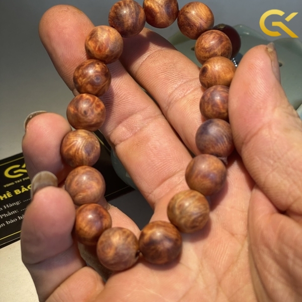 Nu huyết Long 12 li