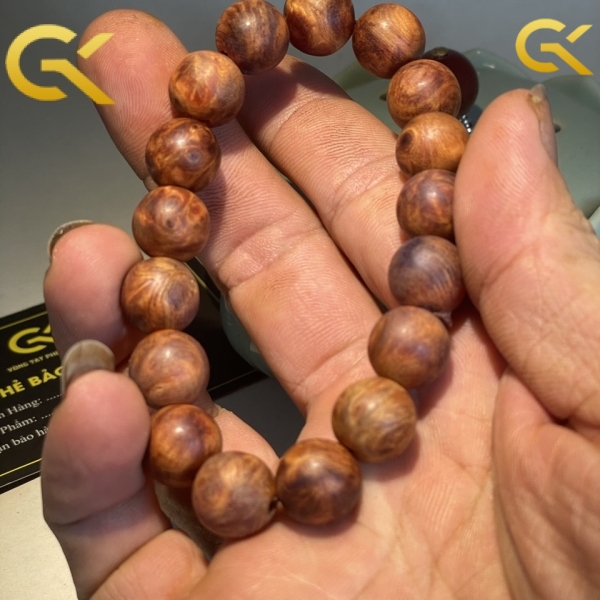 Nu huyết Long 14 li