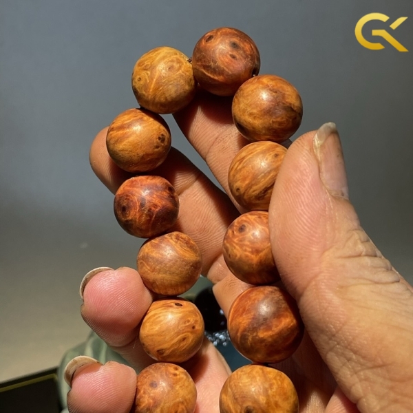 Nu huyết Long 16 li