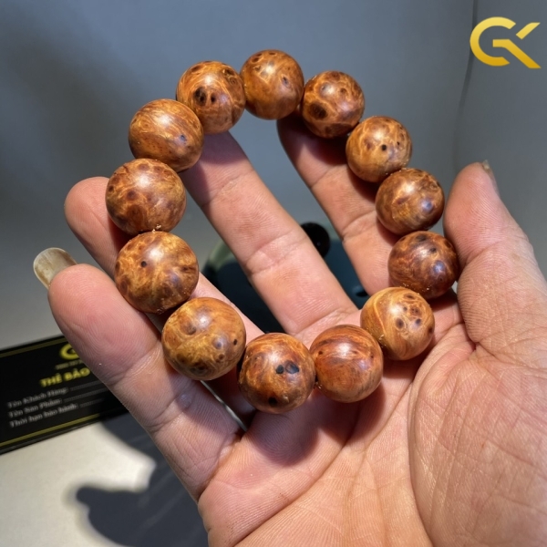 Nu huyết Long 18 li