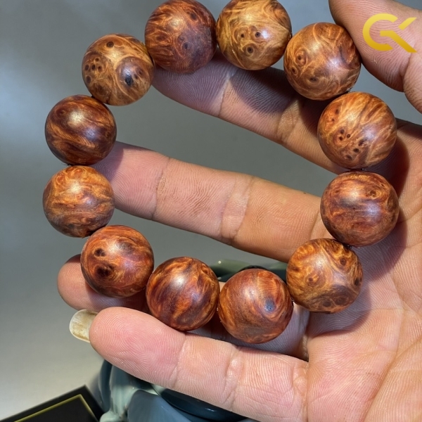 Nu huyết Long 20 li