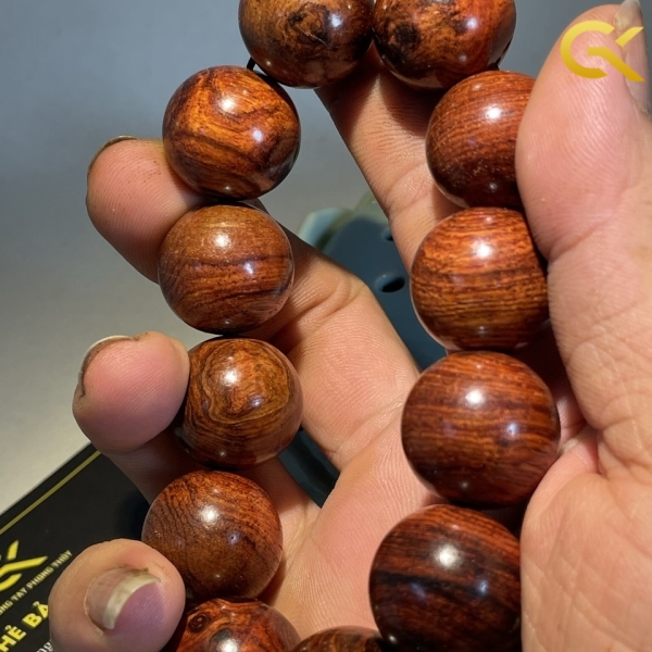 Sưa đỏ 20 li