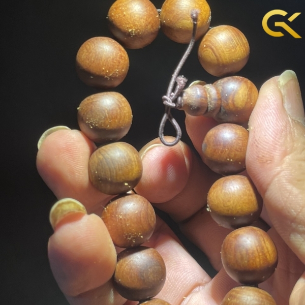 Hoàng đàn tuyết 14 li