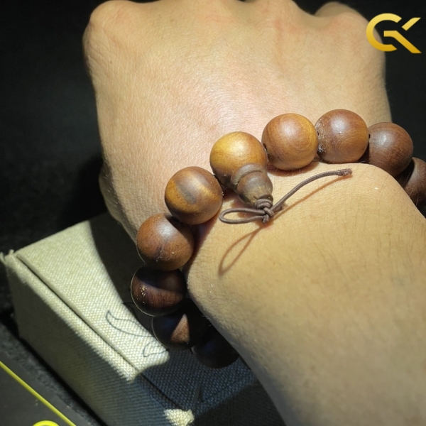 Hoàng đàn tuyết 14 li
