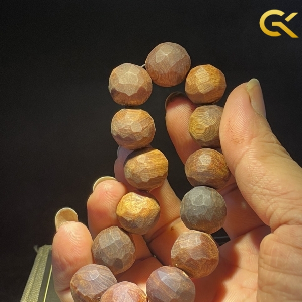 Hoàng đàn tuyết chìm 16 li