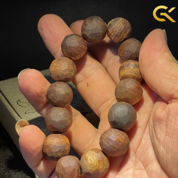 Hoàng đàn tuyết chìm 16 li