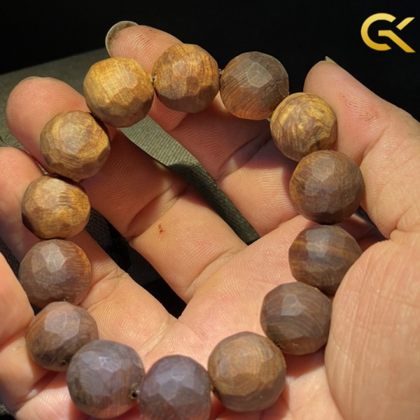 Hoàng đàn tuyết chìm 16 li