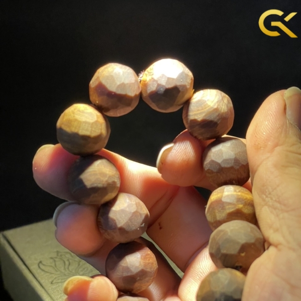 Hoàng đàn tuyết chìm 16 li