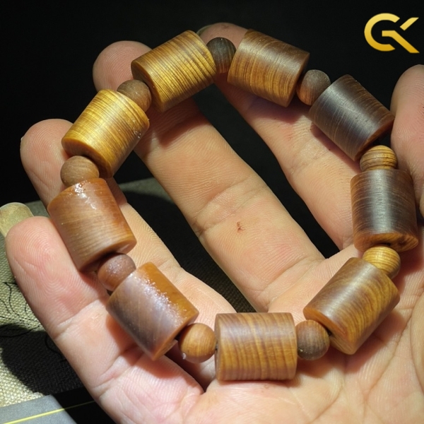 Hoàng đàn tuyết chìm trúc nhộng 14 li