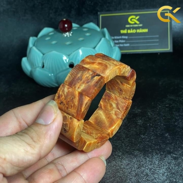 Nu huyết Long bản dẹt 20 li